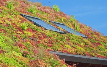 Bowness On Solway living roof systems